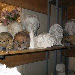 гипсовый фонд 3